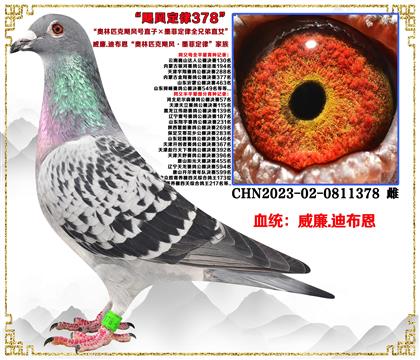 .ϲƥ쫷ֱӡīƶȫֱֵŮ