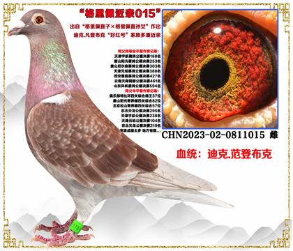 صƼϿ˷ǲˡֱXֱŮ׻Ѫ