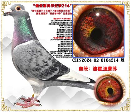 صƼϻ.աѻضֱӡѻض