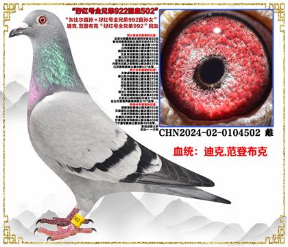 صƼǲˡұȶֱúȫֵ992ֱŮ