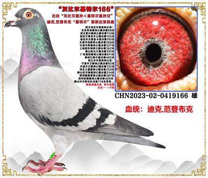 صƼϿ.ǲˡұȶֱضֱŮ