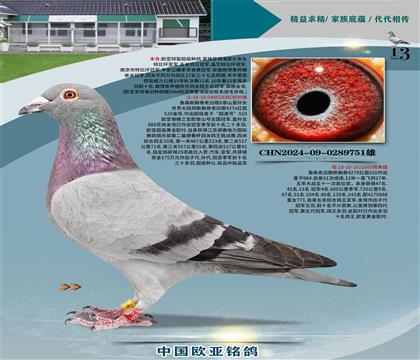 ղɭʮ293Xղɭ1000ĸ