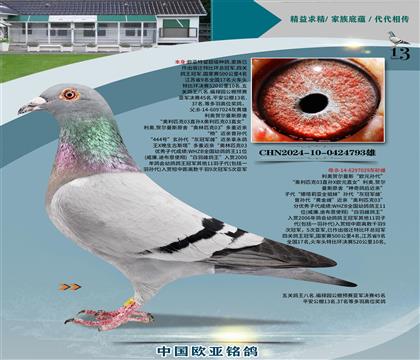 ԭ03ס444šҹھXŷԪ