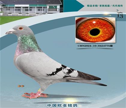 Ǳԭᳬŷֱ727Xӥ127