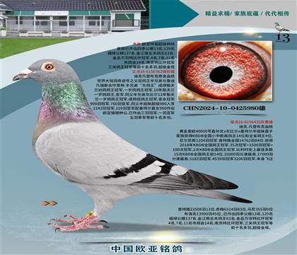 Ͽ˷ǲԭE̖362X40000̖435