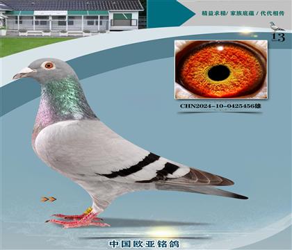 Wԭ03H444̖ҹ܊XWԪO