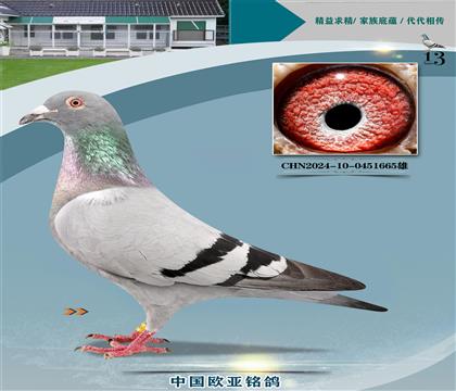 wԭ?sh)ֱ?30XW̖(ho)398