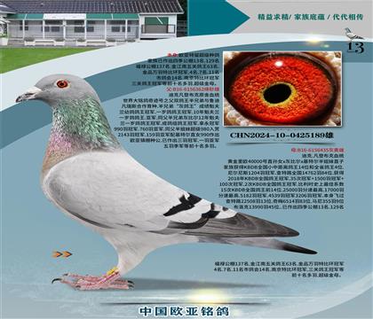 Ͽ˷ǲԭE̖(ho)362X40000̖(ho)435