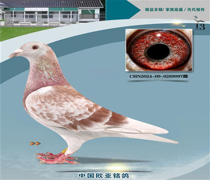 ղɭ̖(ho)Ĺ124X919ֱŮ080