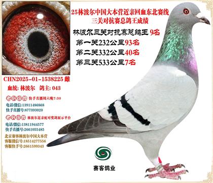 25ֲЇ󱾠IHѪ|ِP(gun)9