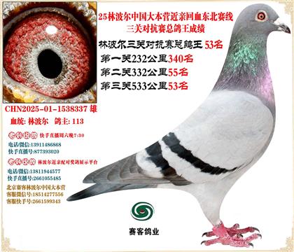 25ֲЇ󱾠IHѪ|ِP(gun)53