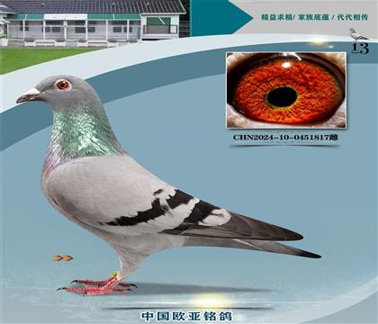 Ͽ˷ǲ288XSW40000̖(ho)