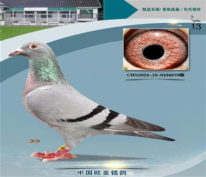 X499XС܊239S䌦(du)