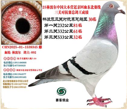 25ֲЇ󱾠IHѪ|ِP(gun)30