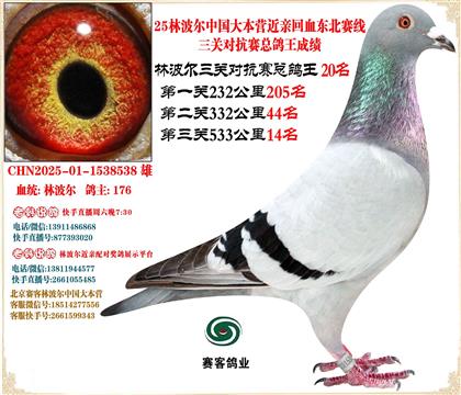 25ֲЇ󱾠IHѪ|ِP(gun)20