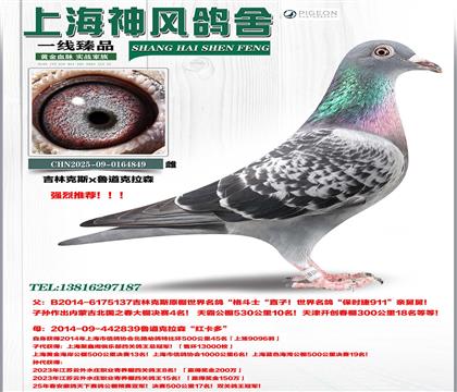 ʿֱx(j)?sh)? width=