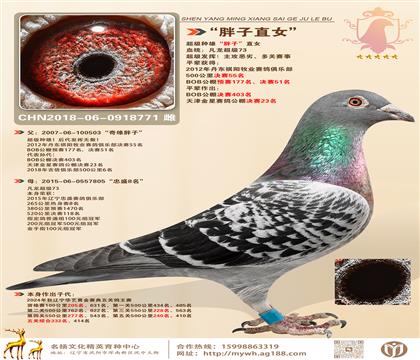 NۡӡֱŮB(yng)fѪϵ