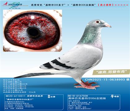 ǲˡؠ006ֱӡؠ006ȫá