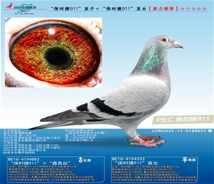 r(sh)911ֱӡr(sh)911ֱŮ