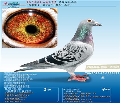 sҫ̖(ho)ֱxСֱŮ