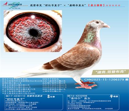 ǲˡüt̖(ho)ֱӡؠֱŮ