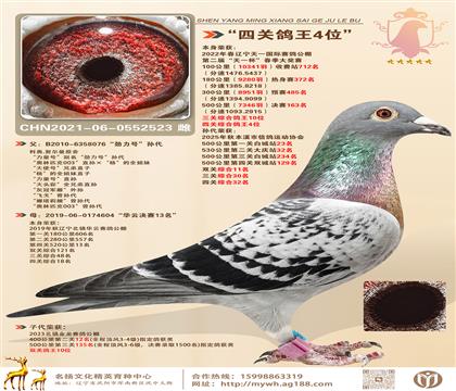 WѪϵ.P4λӴpP10