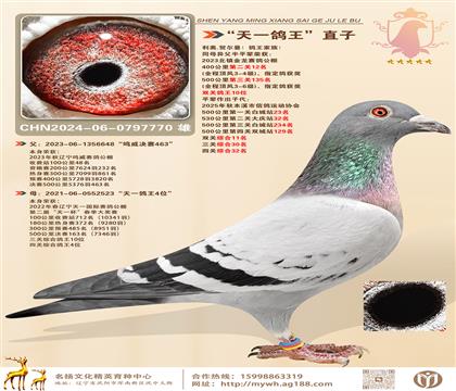 һֱӰƽ݅s@(zhn)pP10λ