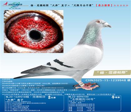 ˹󱼡ֱӡo̖(ho)ȫƽ݅