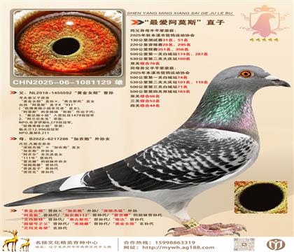 ԭᡰSŮɡOr(nng)112OŮ