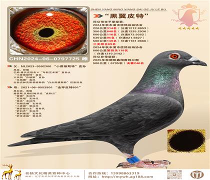 Ƥءȫƽ݅s@PC69ͬĸs@Qِ24