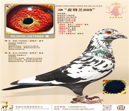 ƤmֱӡƤmֱŮs@: 32116