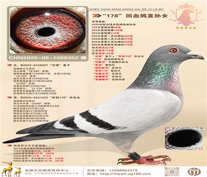 P(gun)C128.Ӣ˹ءֱӡp178OŮ