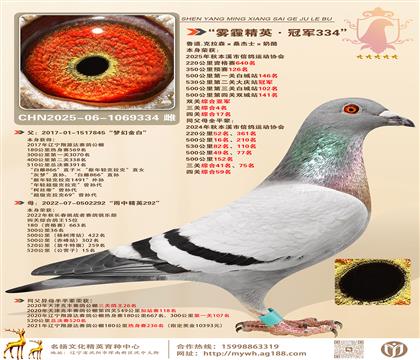 500܊P(gun)C17״866Op