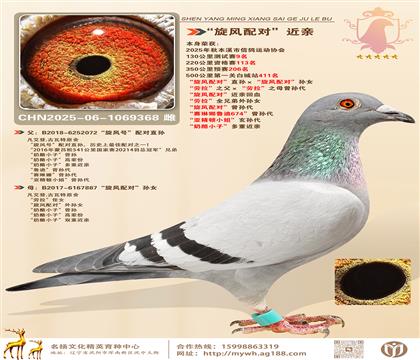 500411L(fng)䌦(du)ֱOL(fng)䌦(du)OŮ