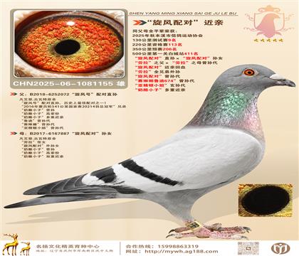 L(fng)䌦(du)ֱOL(fng)䌦(du)OŮ ֮֮