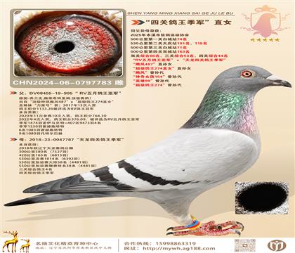 RV܊P(gun)܊ ZL(fng)487ֱ