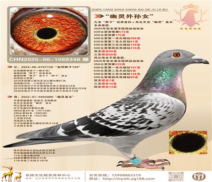 53091.P(gun)C66ӡ(j)H`ֱ