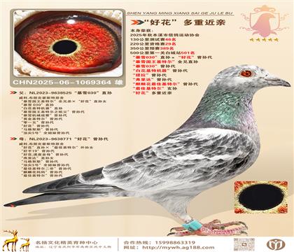 Yِ29ѩ030ֱOûOûؽ