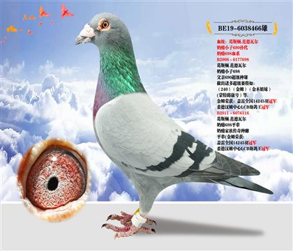 葛斯頓.范德瓦爾原舍”奶酪小子690孫代