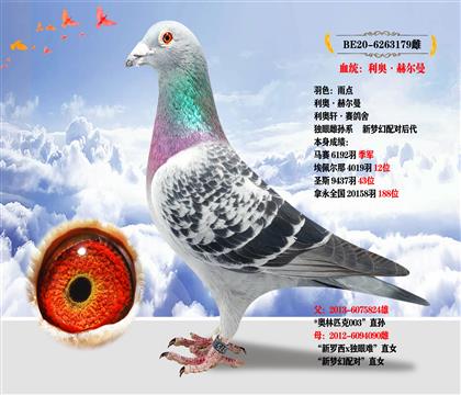 利奧·赫爾曼斯原舍 本身成績:6192羽季軍