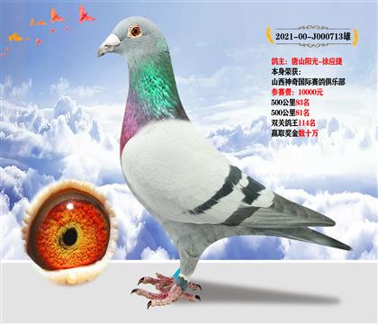 唐山陽光-徐應(yīng)捷選送山西神奇俱樂部500公里81名