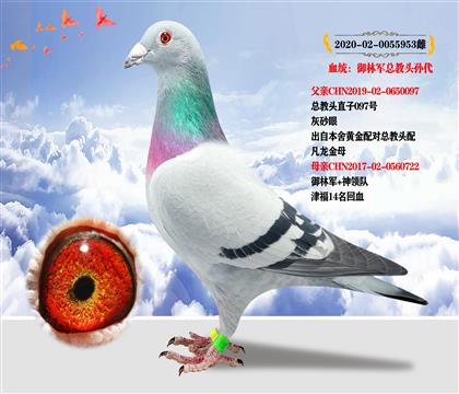 御林軍神領(lǐng)隊“總教頭孫代”