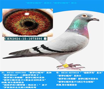 W 䌦(du)ֱOX䌦(du)OŮ