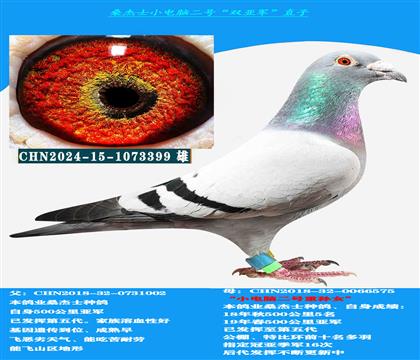 ɽ^(q) Կ̈́ڣ ɣʿp܊ x