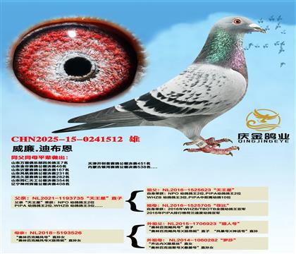 ϲǡֱxWƥˡZL(fng)ֱ̖OŮ