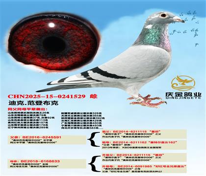 Wƥˡؠ006ƽ݅xWƥˡؠ006ȫ