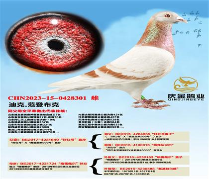 Ͽ.ǲ ütֱ̖Ox堖ֱOŮ