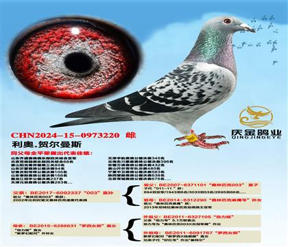 W.ՠ˹ Wƥ003ֱOx_ŮɡֱŮ