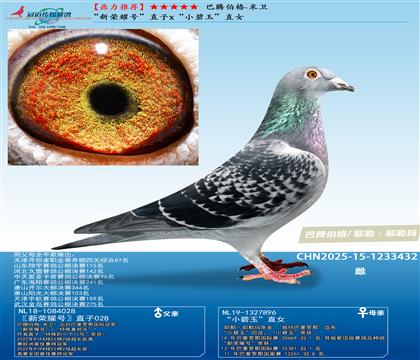 sҫ̖(ho)ֱxСֱŮ