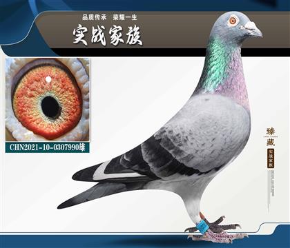 ��һ�P�ϰ� ���ͨ�蹫��48��